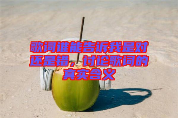 歌詞誰能告訴我是對還是錯，討論歌詞的真實含義