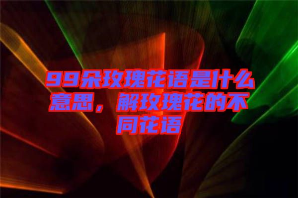 99朵玫瑰花語是什么意思，解玫瑰花的不同花語