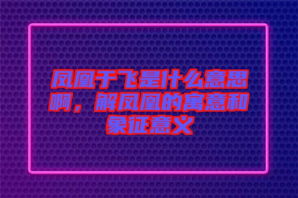 鳳凰于飛是什么意思啊，解鳳凰的寓意和象征意義