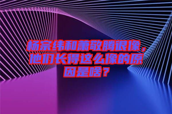 楊宗緯和蕭敬騰很像，他們長得這么像的原因是啥？