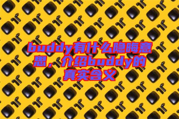 buddy有什么隱晦意思，介紹buddy的真實含義