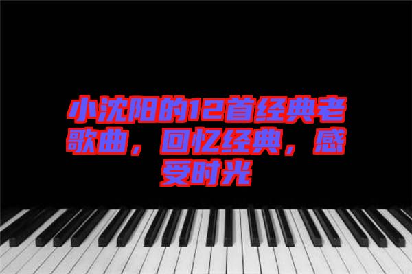 小沈陽的12首經(jīng)典老歌曲，回憶經(jīng)典，感受時光