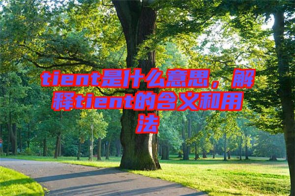 tient是什么意思，解釋tient的含義和用法