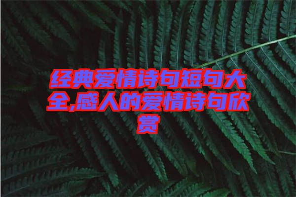 經典愛情詩句短句大全,感人的愛情詩句欣賞