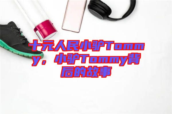 十元人民小驢Tommy，小驢Tommy背后的故事