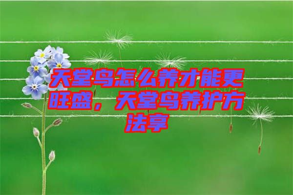 天堂鳥(niǎo)怎么養(yǎng)才能更旺盛，天堂鳥(niǎo)養(yǎng)護(hù)方法享