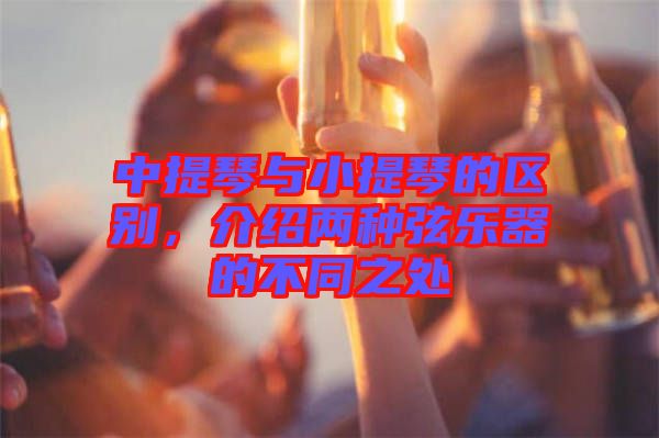 中提琴與小提琴的區(qū)別，介紹兩種弦樂器的不同之處