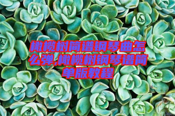 橄欖樹簡(jiǎn)譜鋼琴曲怎么彈,橄欖樹鋼琴譜簡(jiǎn)單版教程