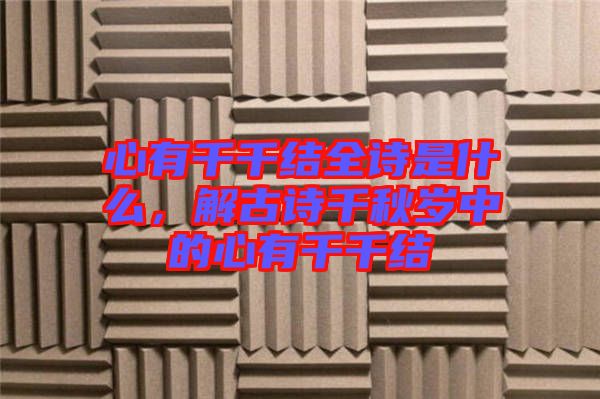 心有千千結(jié)全詩(shī)是什么，解古詩(shī)千秋歲中的心有千千結(jié)