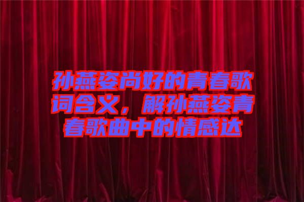 孫燕姿尚好的青春歌詞含義，解孫燕姿青春歌曲中的情感達(dá)