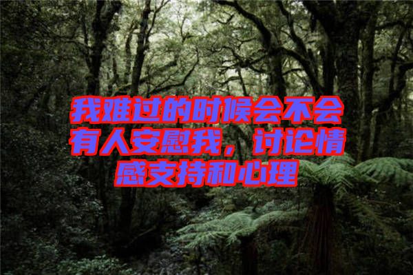 我難過的時(shí)候會(huì)不會(huì)有人安慰我，討論情感支持和心理