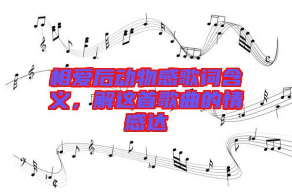 相愛(ài)后動(dòng)物感歌詞含義，解這首歌曲的情感達(dá)