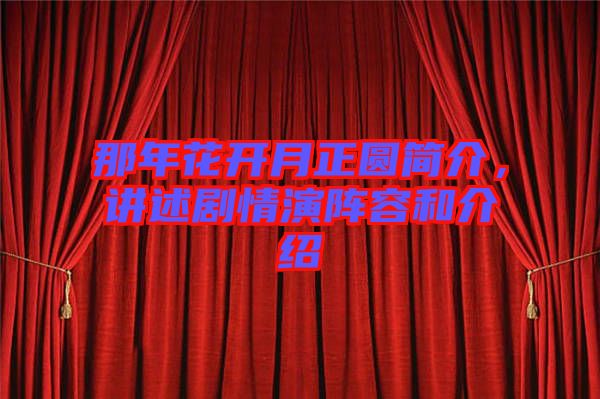 那年花開月正圓簡介，講述劇情演陣容和介紹