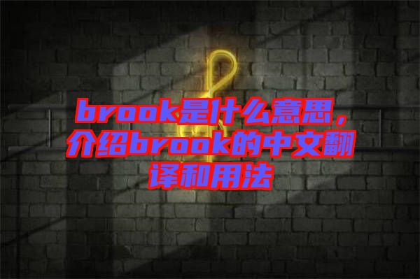 brook是什么意思，介紹brook的中文翻譯和用法