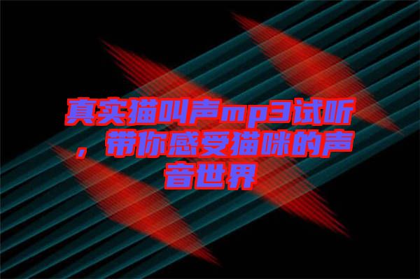 真實(shí)貓叫聲mp3試聽，帶你感受貓咪的聲音世界