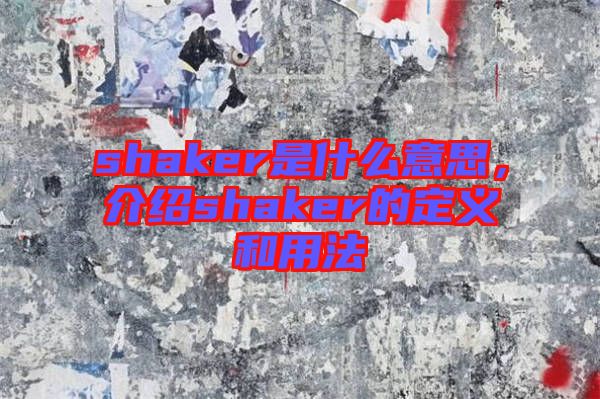 shaker是什么意思，介紹shaker的定義和用法