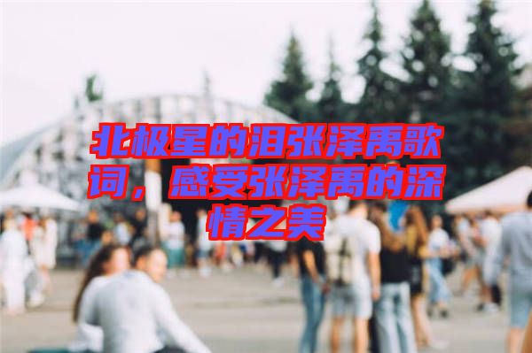 北極星的淚張澤禹歌詞，感受張澤禹的深情之美