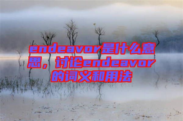 endeavor是什么意思，討論endeavor的詞義和用法