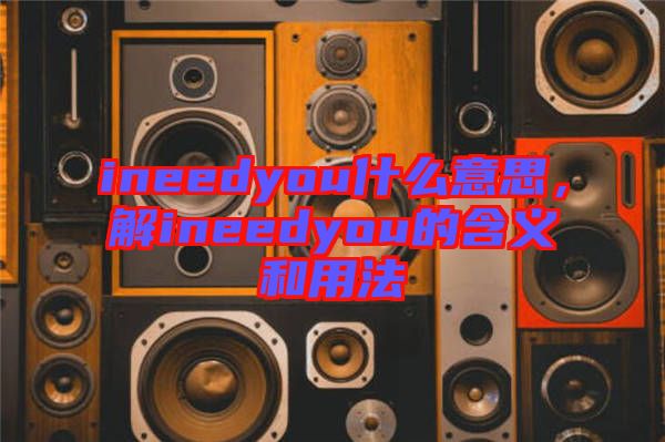 ineedyou什么意思，解ineedyou的含義和用法