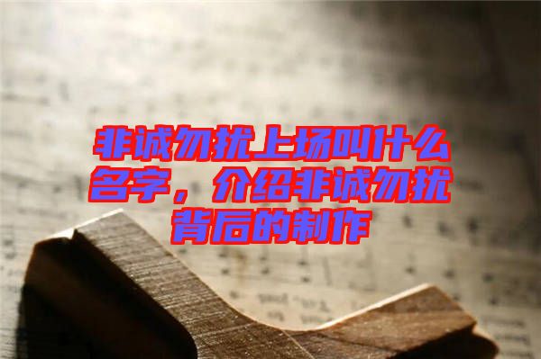 非誠勿擾上場叫什么名字，介紹非誠勿擾背后的制作