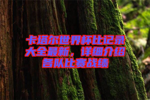 卡塔爾世界杯比記錄大全最新，詳細(xì)介紹各隊(duì)比賽戰(zhàn)績(jī)