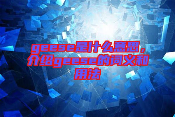 geese是什么意思，介紹geese的詞義和用法