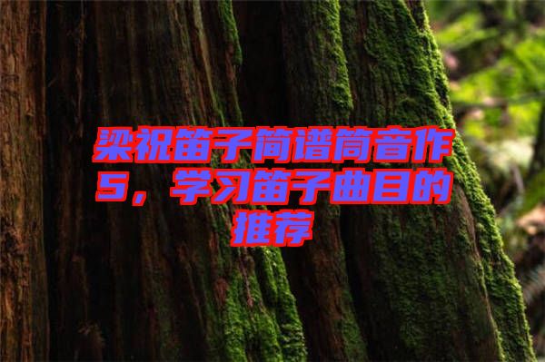 梁祝笛子簡譜筒音作5，學(xué)習(xí)笛子曲目的推薦