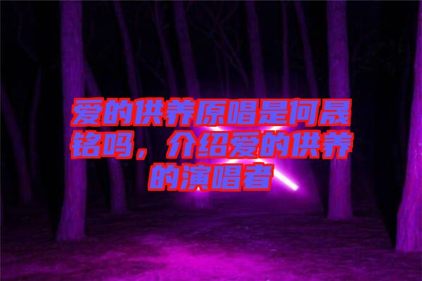 愛的供養(yǎng)原唱是何晟銘嗎，介紹愛的供養(yǎng)的演唱者