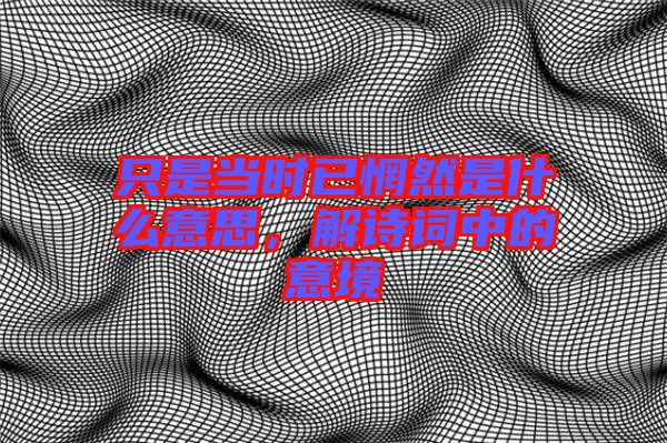 只是當時已惘然是什么意思，解詩詞中的意境