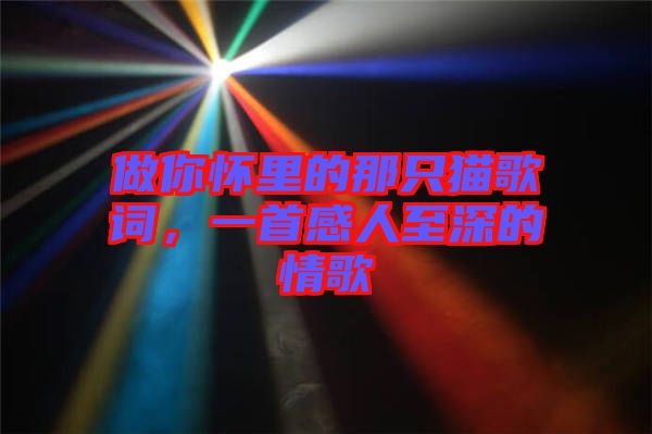 做你懷里的那只貓歌詞，一首感人至深的情歌