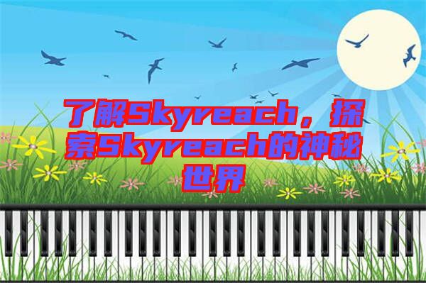 了解Skyreach，探索Skyreach的神秘世界