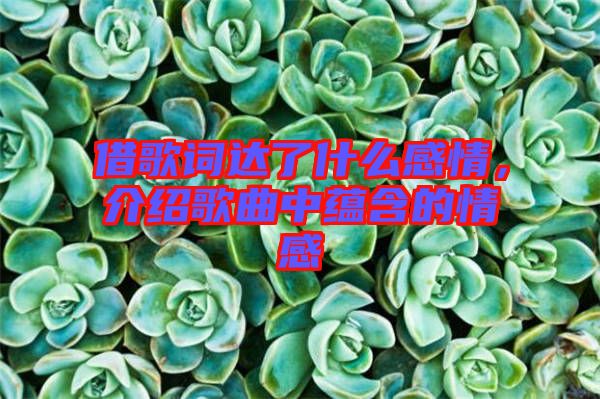 借歌詞達了什么感情，介紹歌曲中蘊含的情感