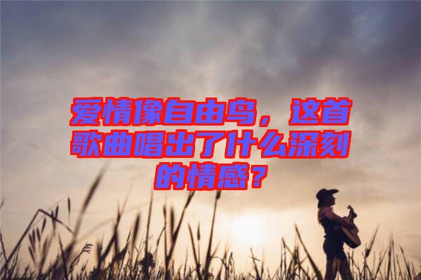 愛情像自由鳥，這首歌曲唱出了什么深刻的情感？