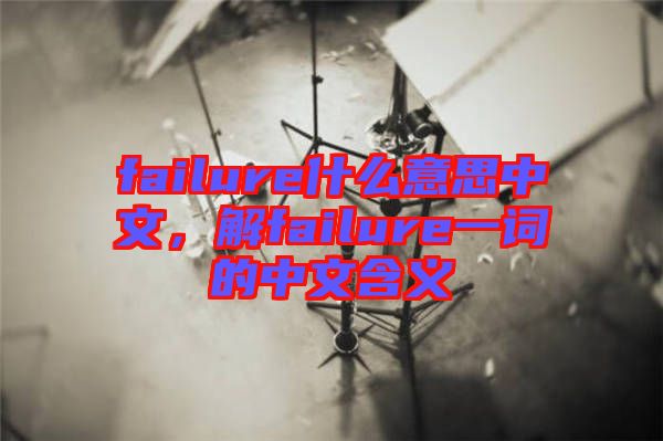 failure什么意思中文，解failure一詞的中文含義