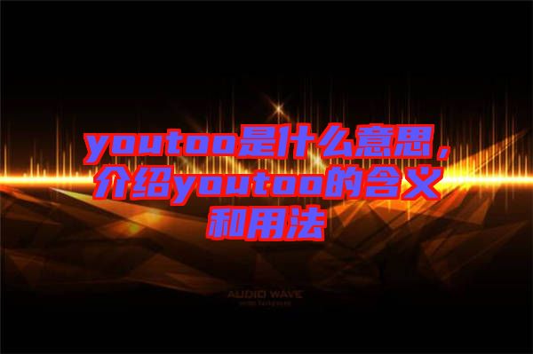 youtoo是什么意思，介紹youtoo的含義和用法