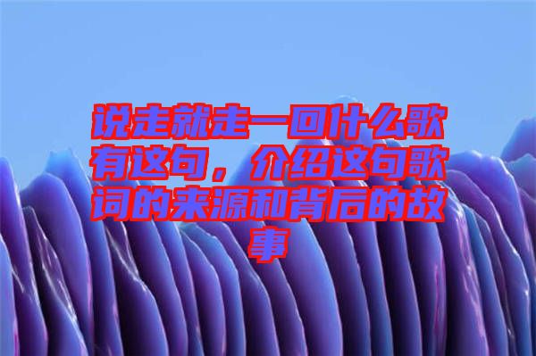 說走就走一回什么歌有這句，介紹這句歌詞的來源和背后的故事