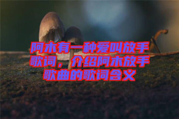 阿木有一種愛叫放手歌詞，介紹阿木放手歌曲的歌詞含義