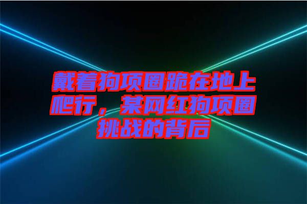 戴著狗項(xiàng)圈跪在地上爬行，某網(wǎng)紅狗項(xiàng)圈挑戰(zhàn)的背后