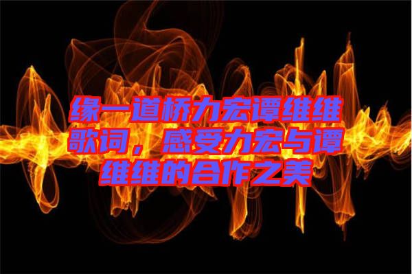 緣一道橋力宏譚維維歌詞，感受力宏與譚維維的合作之美