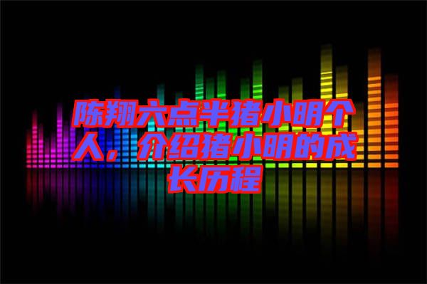 陳翔六點半豬小明個人，介紹豬小明的成長歷程