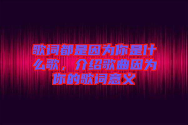 歌詞都是因為你是什么歌，介紹歌曲因為你的歌詞意義