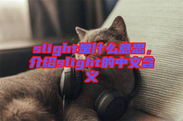 slight是什么意思，介紹slight的中文含義