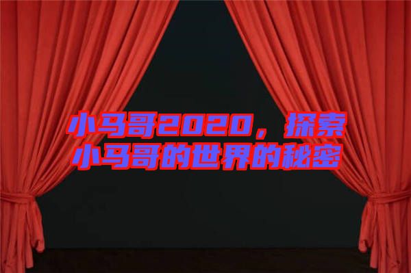 小馬哥2020，探索小馬哥的世界的秘密