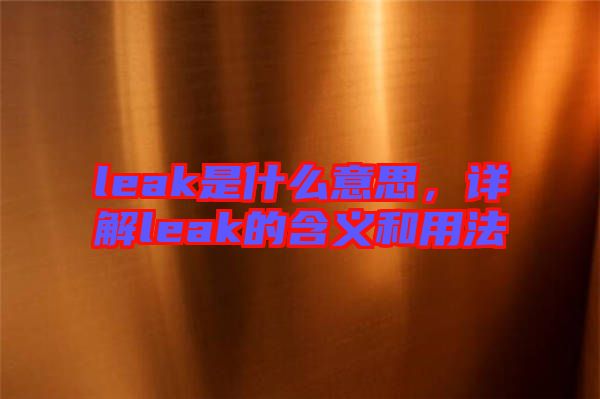 leak是什么意思，詳解leak的含義和用法