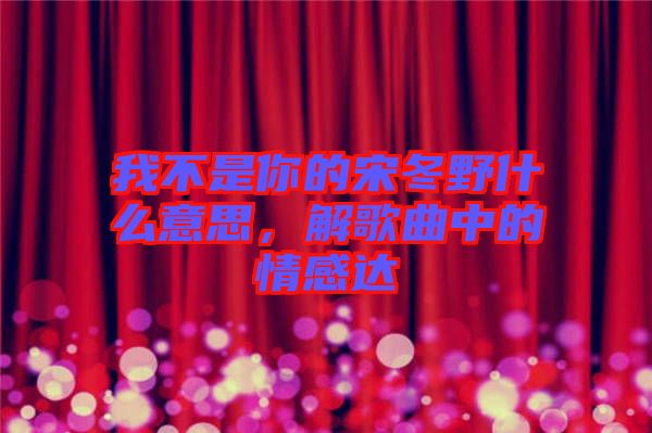 我不是你的宋冬野什么意思，解歌曲中的情感達