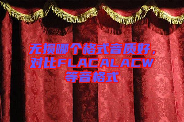 無損哪個格式音質好，對比FLACALACW等音格式