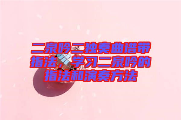 二泉吟二獨(dú)奏曲譜帶指法，學(xué)習(xí)二泉吟的指法和演奏方法