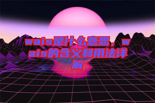 wais是什么意思，wais的含義和用法詳解