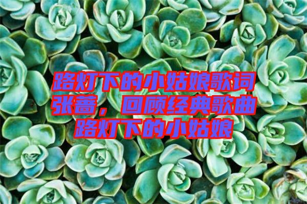 路燈下的小姑娘歌詞張薔，回顧經(jīng)典歌曲路燈下的小姑娘