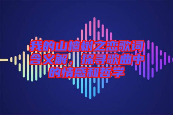 我的山楂樹之戀歌詞含義解，探尋歌曲中的情感和哲學(xué)